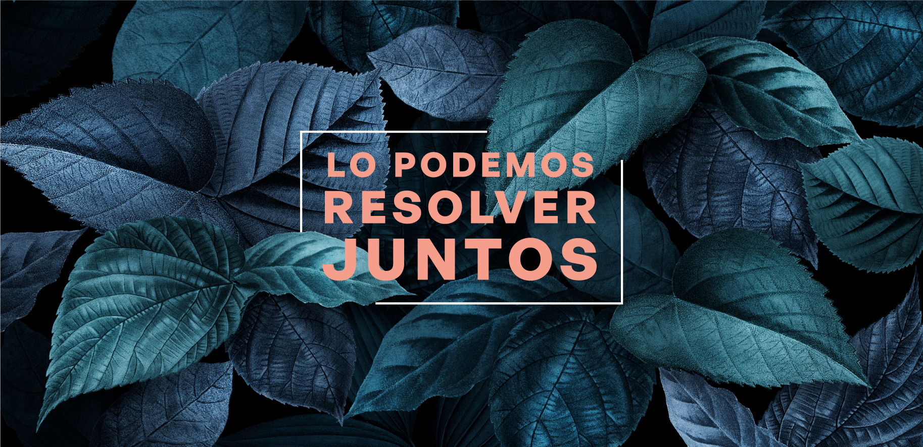 Clínica Proyectarte | Lo podemos resolver juntos